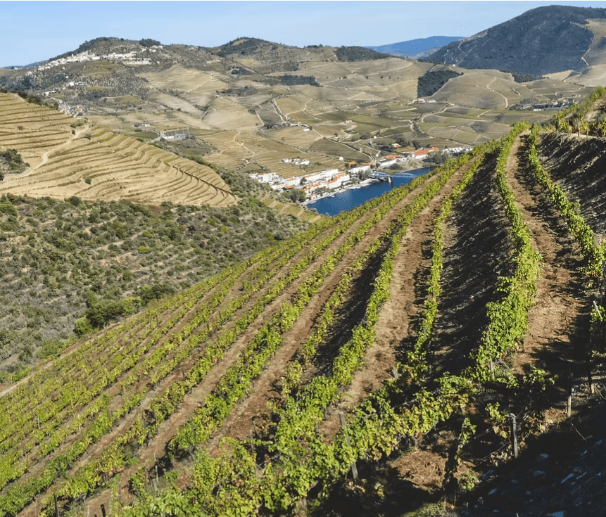 Vale do Douro, Portugal