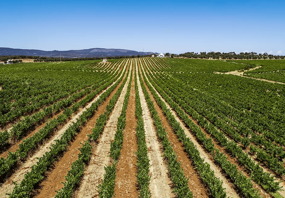 Redondo Winery — Alentejo, Portugal